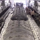 Illustration for article titled Watch This C-17 Haul 9000 Gallons Of Gas To A Base Fighting ISIS
